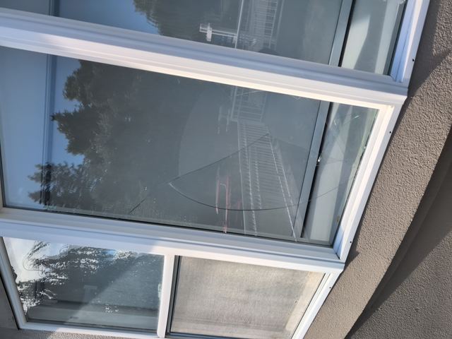 White awning windows after replacement