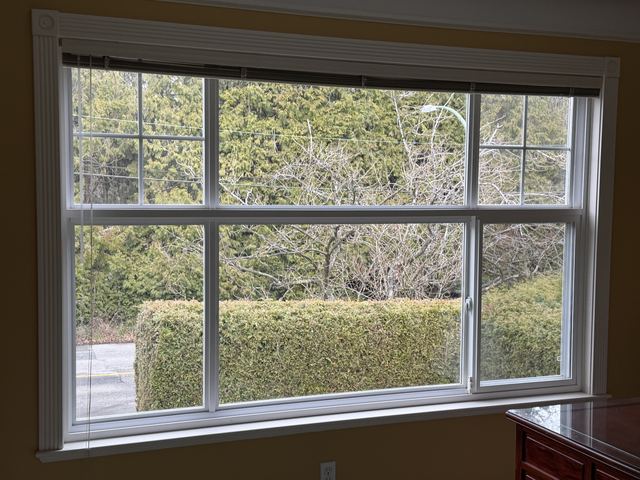 Double-hung window with new glass